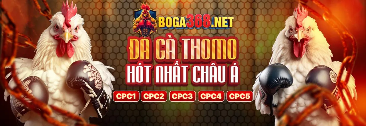 Khuyến Mãi Đa Gà Thomo