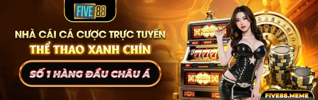 Tăng cường kiến thức và chiến lược cá cược đá gà Thomo