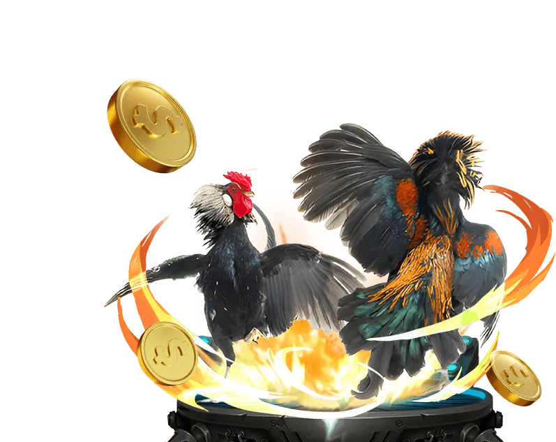 Hoàn Trả Thua Cược